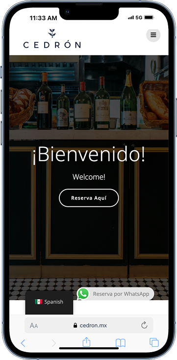 Diseño Web phone preview